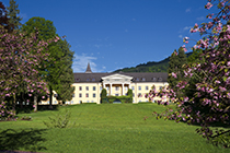 Schloss Ebenzweier mit blÃ¼henden BÃ¤umen im Park, Gemeinde AltmÃ¼nster, Salzkammergut, OberÃ¶sterreich, Ã–sterreich - castle of ebenzweier with blooming trees in the park, community of altmÃ¼nster, region salzkammergut, upper austria, austria